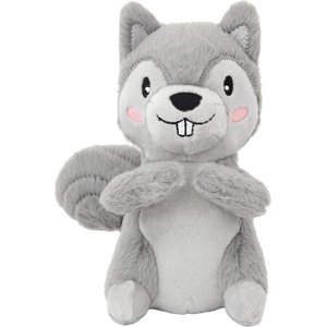 Frisco Camping Squirrel Plush Squeaky Dog Toy, Small/Medium