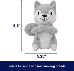 Frisco Camping Squirrel Plush Squeaky Dog Toy, Small/Medium slide 2 of 6
