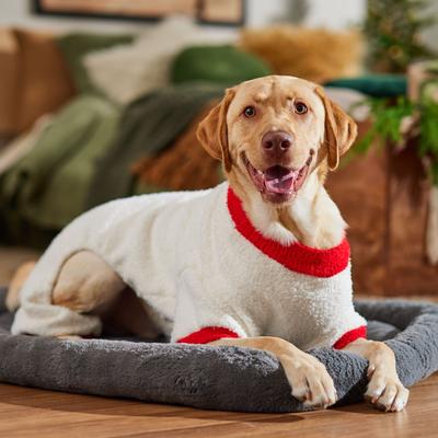 Show full view: Frisco Candy Cane Dog & Cat Snuggle Up Knit PJs, XX-Large slide 6 of 9