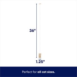 Frisco Cardboard & Wire Teaser Cat Toy slide 2 of 4