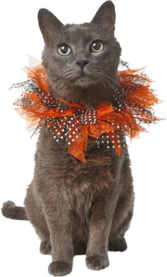 Show full view: Frisco Cat Collar Ruffle Costume Accessory, One Size slide 1 of 6