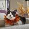 Show in main carousel: Frisco Cat Collar Ruffle Costume Accessory, One Size slide 4 of 6