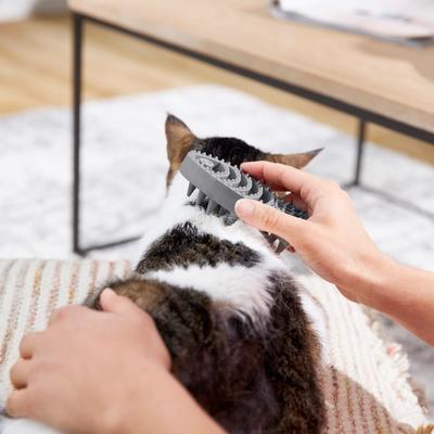 Show full view: Frisco Cat Curry Brush, Gray slide 4 of 6