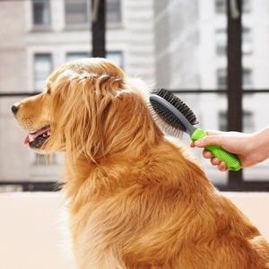 Frisco Cat & Dog Pin Bristle Brush, Large