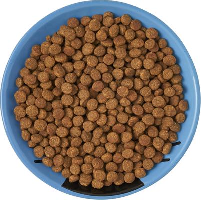 Show full view: Frisco Cat Face Non-skid Ceramic Cat Dish, Blue, 0.5 cup, 1 count slide 6 of 8