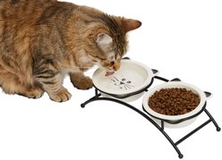Frisco Cat Face Non-skid Elevated Double Ceramic Cat Bowl, X-Small: 0.5 cup
