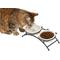 Show in main carousel: Frisco Cat Face Non-skid Elevated Double Ceramic Cat Bowl, X-Small: 0.5 cup slide 1 of 8