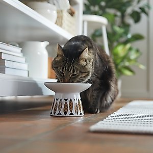 Frisco Cat Face Wide Shape Elevated Non-Skid Ceramic Cat Bowl, Small: 1 cup