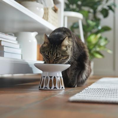 Show full view: Frisco Cat Face Wide Shape Elevated Non-Skid Ceramic Cat Bowl, White, Small: 1 cup slide 3 of 8