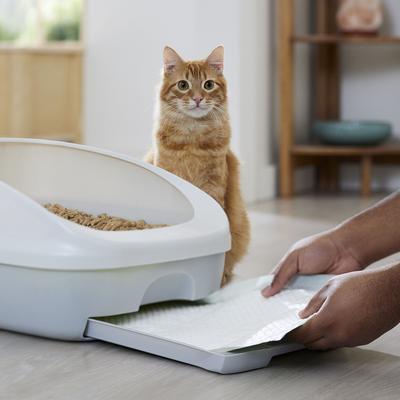 Show full view: Frisco Cat Litter Pads, Scented, 20 count slide 5 of 7