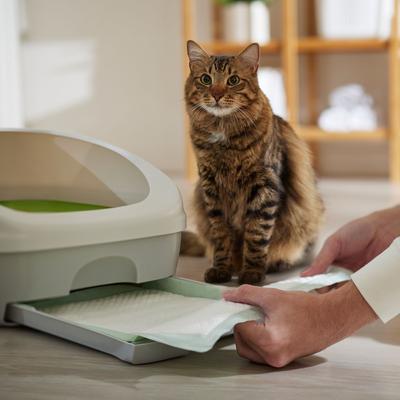 Show full view: Frisco Cat Litter Pads, Unscented, 20 count slide 5 of 7