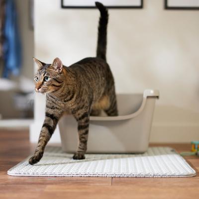 Show full view: Frisco Cat Litter Trapping Mat, Grey slide 5 of 7