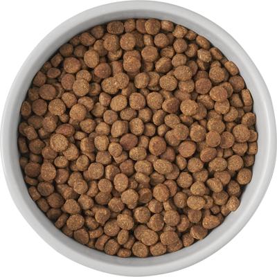 Show full view: Frisco Cat Print Non-Skid Elevated Ceramic Cat Bowl, Tall, Multi Color, 1.5 cup slide 5 of 8