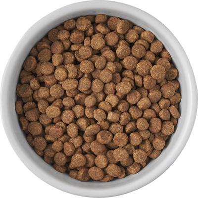 Show full view: Frisco Cat Print Non-Skid Elevated Ceramic Cat Bowl, Tall, Multi Color, 1 cup slide 5 of 8