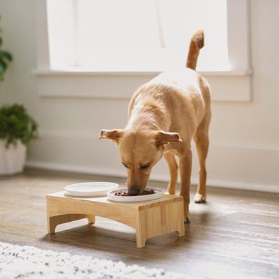 Show full view: Frisco Ceramic Dog & Cat Double Diner with Elevated Wood Stand, Small: 1.5 cup slide 3 of 8