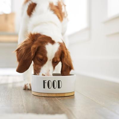 Show full view: Frisco Ceramic Food Dog & Cat Bowl with Wood Base, Medium: 4 cup slide 3 of 9