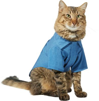 Show full view: Frisco Chambray Pineapple Dog & Cat Shirt, X-Small slide 3 of 11