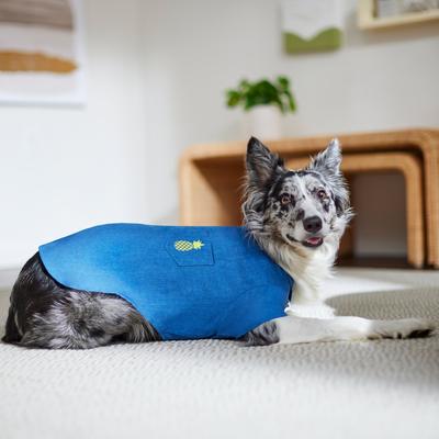 Show full view: Frisco Chambray Pineapple Dog & Cat Shirt, XXX-Large slide 8 of 10