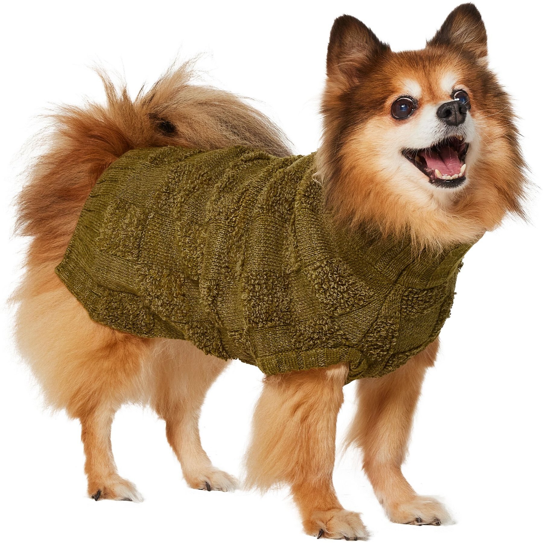 Frisco Checkered Mock Neck Dog & Cat Sweater, Green, Medium