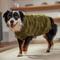 Show in main carousel: Frisco Checkered Mock Neck Dog & Cat Sweater, Green, X-Large slide 6 of 10