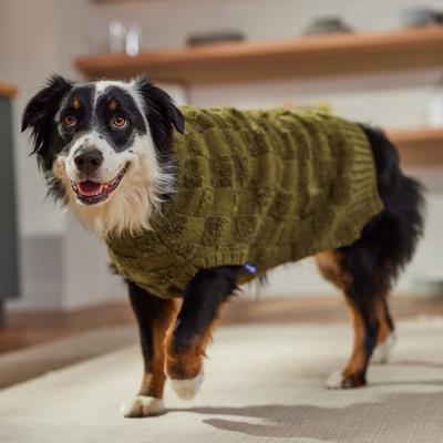 Show full view: Frisco Checkered Mock Neck Dog & Cat Sweater, Green, X-Large slide 6 of 10