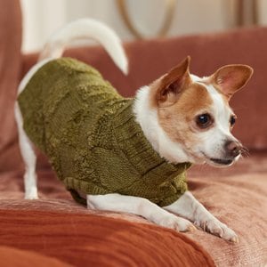 Frisco Checkered Mock Neck Dog & Cat Sweater, Green, X-Small