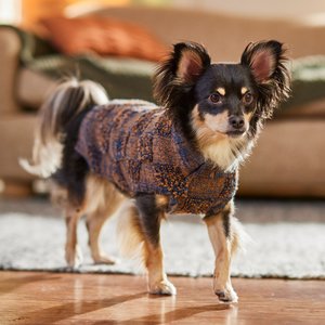 Frisco Checkered Mock Neck Dog & Cat Sweater, Navy, Small
