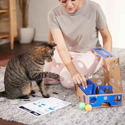 Show full view: Frisco Chewy Box Cardboard Interactive Maze Cat Toy with Catnip slide 5 of 9