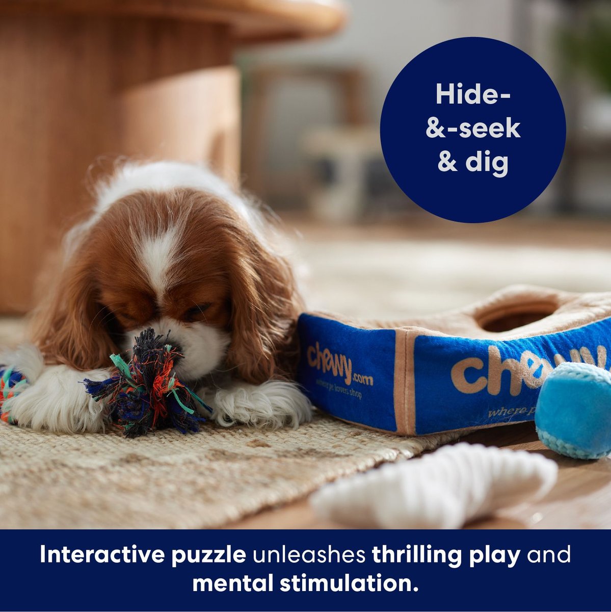 Ethical Pet Hide & Seek Doghouse Plush Puzzle for Dogs
