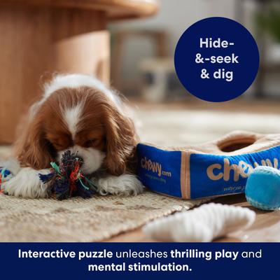 Show full view: Frisco Chewy Box Hide & Seek Puzzle Plush Squeaky Dog Toy, Small/Medium slide 6 of 9