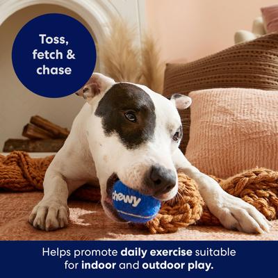 Show full view: Frisco Chewy Fetch Squeaky Tennis Ball Dog Toy, Medium, 3 count slide 6 of 8