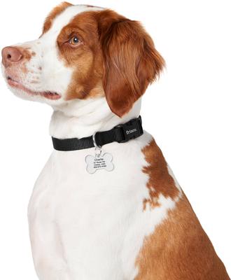 Show full view: Frisco Chewy Stainless Steel Personalized Dog & Cat ID Tag with Enamel Infill, Regular slide 4 of 4