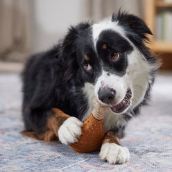Frisco Chicken Flavored Drumstick Rubber & Nylon Chew Dog Toy for Heavy Chewers, Large/X-Large slide 2 of 7