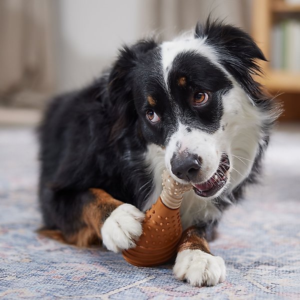 Show full view: Frisco Chicken Flavored Drumstick Rubber & Nylon Chew Dog Toy for Heavy Chewers, Large/X-Large slide 5 of 9