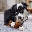 Show in main carousel: Frisco Chicken Flavored Drumstick Rubber & Nylon Chew Dog Toy for Heavy Chewers, Large/X-Large slide 5 of 9