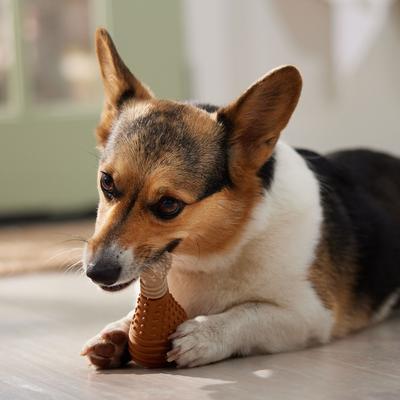 Show full view: Frisco Chicken Flavored Drumstick Rubber & Nylon Chew Dog Toy for Heavy Chewers, Small/Medium slide 5 of 9