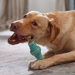 Frisco Chicken Flavored Textured Bone Nylon & TPR Dental Chew Dog Toy for Moderate Chewers, Large slide 2 of 8