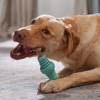 Show full view: Frisco Chicken Flavored Textured Bone Nylon & TPR Dental Chew Dog Toy for Moderate Chewers, Large slide 5 of 10