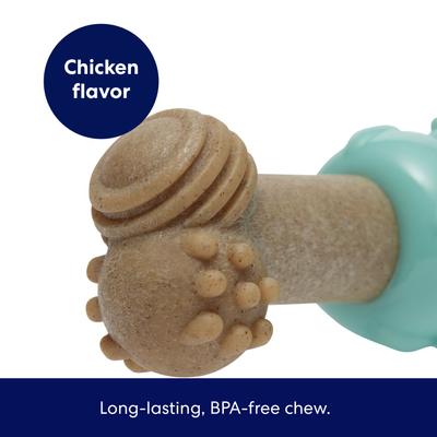 Show full view: Frisco Chicken Flavored Textured Bone Nylon & TPR Dental Chew Dog Toy for Moderate Chewers, Large slide 3 of 10