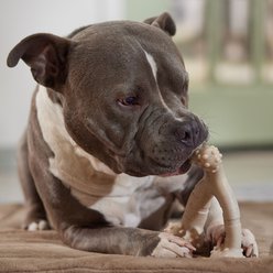 Frisco Chicken Flavored Wishbone Nylon Chew Dog Toy for Heavy Chewers, Large slide 2 of 8