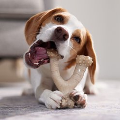 Frisco Chicken Flavored Wishbone Nylon Chew Dog Toy for Heavy Chewers, Medium slide 2 of 8