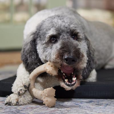 Show full view: Frisco Chicken Flavored Wishbone Nylon Chew Dog Toy for Heavy Chewers, X-Large slide 6 of 11