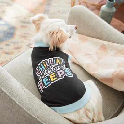 Show full view: Frisco Chillin' With My Peeps Dog & Cat T-shirt, XXX-Large slide 6 of 7