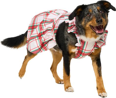 christmas dress for large dogs FRISCO Plaid Dog & Cat Dress, Christmas sweater Color:Royal blue Rue_Nov_2025 Cinq a Sept Rose The costume includes everything