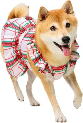 dog christmas dress medium FRISCO Plaid & Cat Dress, elf dog christmas outfit