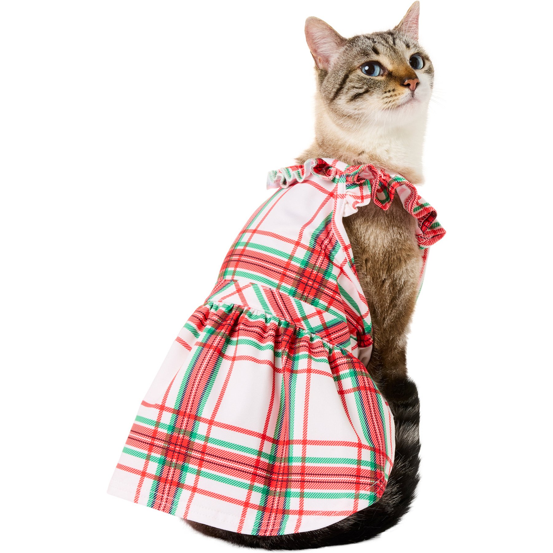 Frisco Christmas Plaid Dog & Cat Dress, Small
