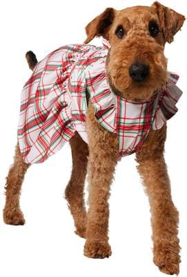 dog christmas dress large FRISCO Plaid & Cat Dress, XX-Large elf dog christmas outfit