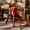 Show in main carousel: Frisco Chunky Knit Multi-Stripe Dog & Cat Sweater, X-Large slide 6 of 8