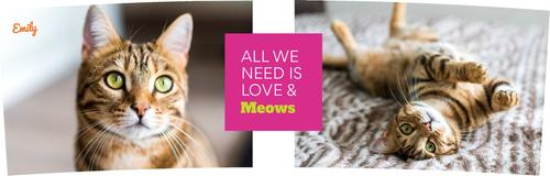 Show full view: Frisco "Classic" Double Walled Personalized Tumbler. 30-oz slide 3 of 5