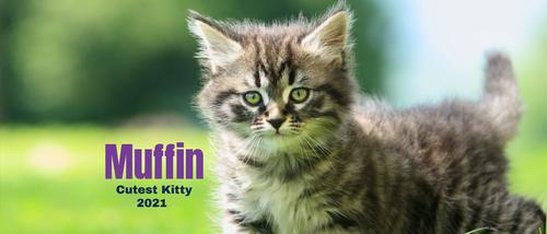 Show full view: Frisco Classic Photo White Personalized Coffee Mug, 15-oz slide 3 of 6